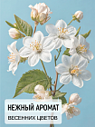 Энзимная пудра «Увлажнение» БиоБьюти