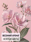 Энзимная пудра «От черных точек» БиоБьюти